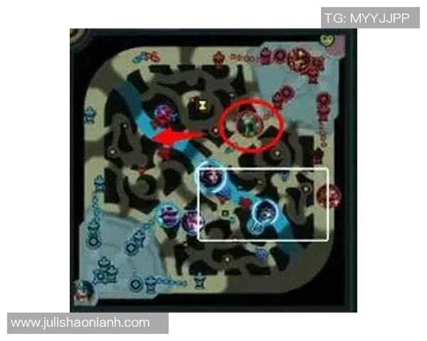 JDG战队的整体压制体系解析与战术运用探讨